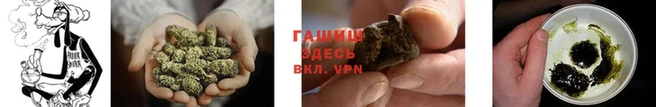 тгк Арсеньев