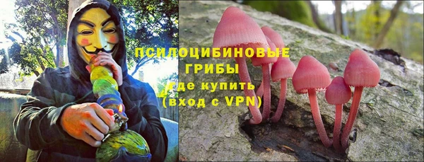 тгк Арсеньев