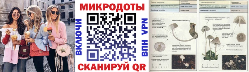 Галлюциногенные грибы Psilocybe  blacksprut как войти  Инта 